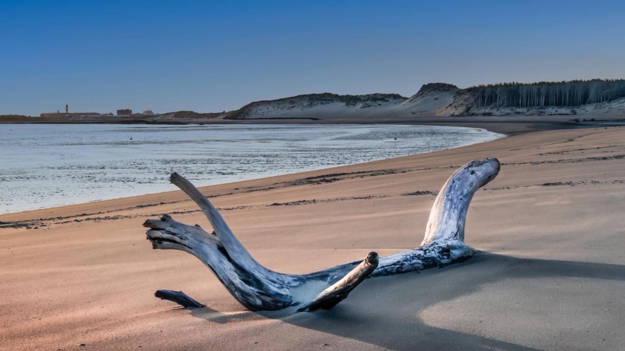 Studio "Les Pieds Dans L'Eau" - 50M Front De Mer Berck エクステリア 写真